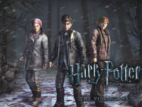Игра Гарри Поттер в заколдованном лесу Игра Гарри Поттер в заколдованном лесу